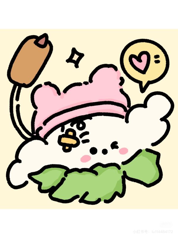综合交流
